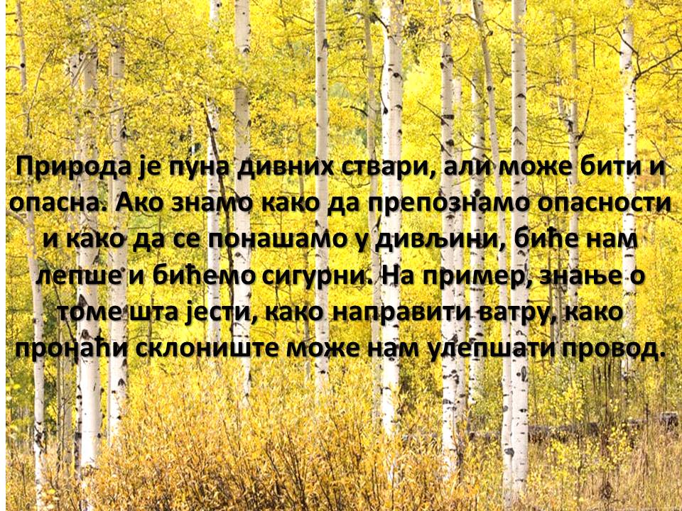 пуп1